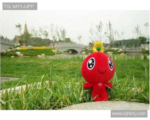 西安乒乓球队奋斗历程全景纪实与成长故事分享