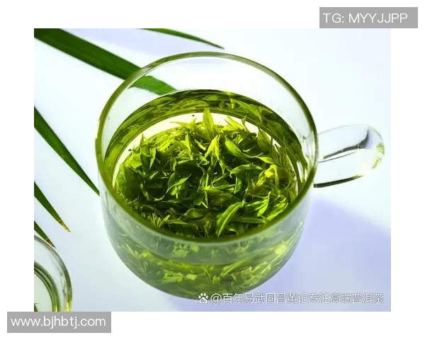 足球明星们的茶饮偏好揭秘:他们最爱的茶叶与健康生活方式 足球明星们的茶饮偏好揭秘:他们最爱的茶叶与健康生活方式