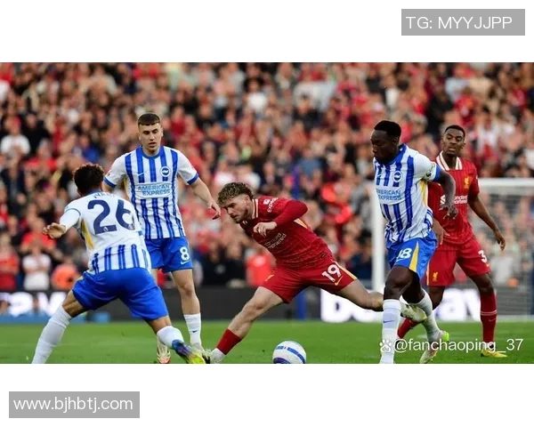 足球明星野路子是谁揭秘他背后的故事与成就分析 足球明星野路子是谁揭秘他背后的故事与成就分析