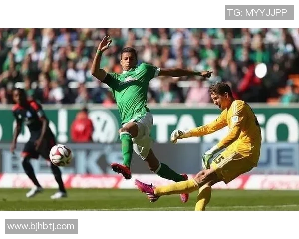 独家分析：V5的比赛经验对比_1